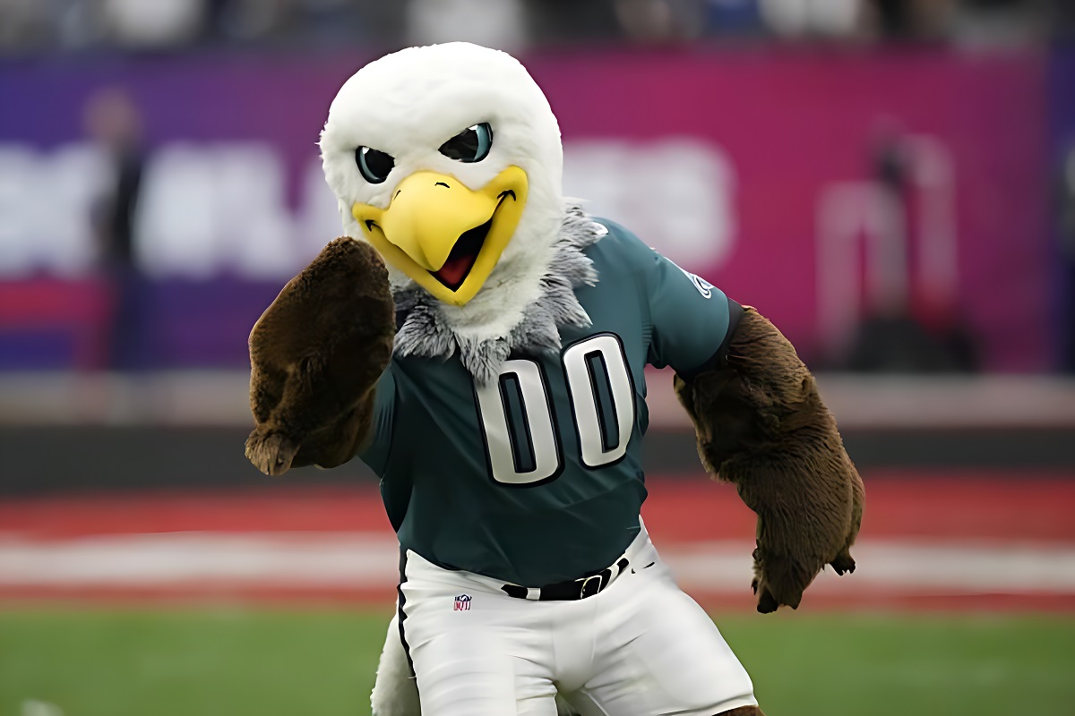 Top 10 NFL Mascots - WhiteClouds