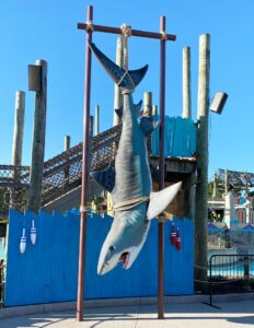 Completed Six Flags New England Tiger Shark Prop