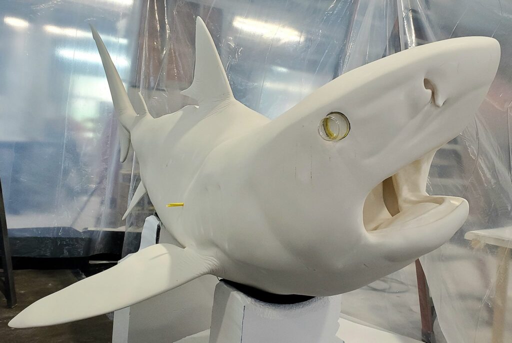 Six Flags Tiger Shark Prop In-Production